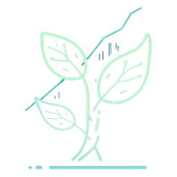 GrowDaily
